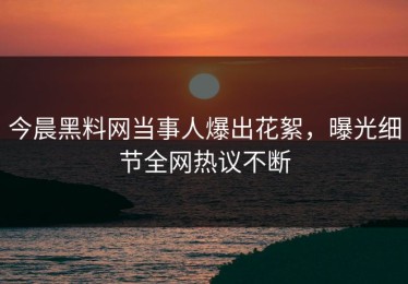 今晨黑料网当事人爆出花絮，曝光细节全网热议不断
