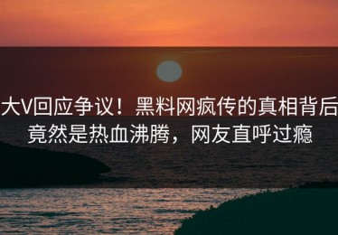 大V回应争议！黑料网疯传的真相背后竟然是热血沸腾，网友直呼过瘾