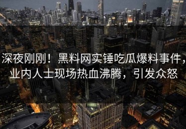 深夜刚刚！黑料网实锤吃瓜爆料事件，业内人士现场热血沸腾，引发众怒