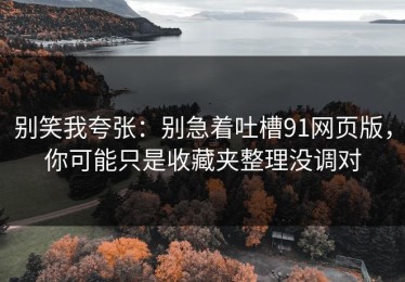 别笑我夸张：别急着吐槽91网页版，你可能只是收藏夹整理没调对