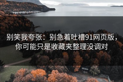 别笑我夸张：别急着吐槽91网页版，你可能只是收藏夹整理没调对