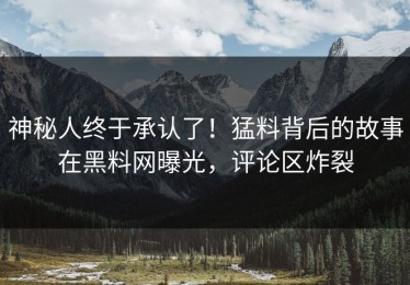 神秘人终于承认了！猛料背后的故事在黑料网曝光，评论区炸裂