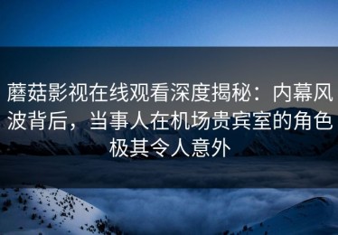 蘑菇影视在线观看深度揭秘：内幕风波背后，当事人在机场贵宾室的角色极其令人意外