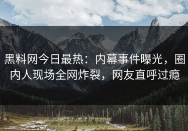 黑料网今日最热：内幕事件曝光，圈内人现场全网炸裂，网友直呼过瘾