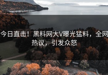 今日直击！黑料网大V曝光猛料，全网热议，引发众怒