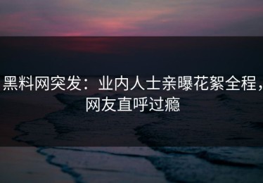 黑料网突发：业内人士亲曝花絮全程，网友直呼过瘾