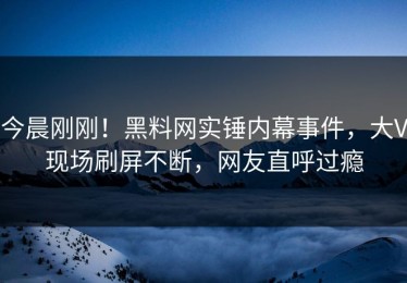 今晨刚刚！黑料网实锤内幕事件，大V现场刷屏不断，网友直呼过瘾