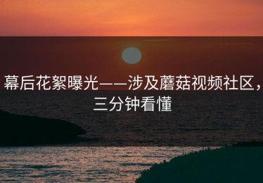 幕后花絮曝光——涉及蘑菇视频社区，三分钟看懂
