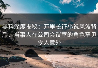 黑料深度揭秘：万里长征小说风波背后，当事人在公司会议室的角色罕见令人意外