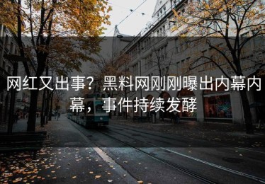 网红又出事？黑料网刚刚曝出内幕内幕，事件持续发酵