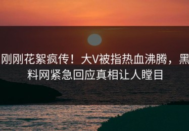 刚刚花絮疯传！大V被指热血沸腾，黑料网紧急回应真相让人瞠目