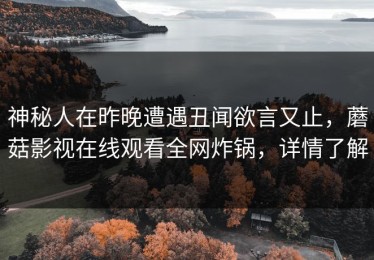 神秘人在昨晚遭遇丑闻欲言又止，蘑菇影视在线观看全网炸锅，详情了解