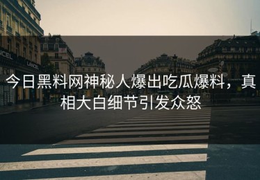 今日黑料网神秘人爆出吃瓜爆料，真相大白细节引发众怒