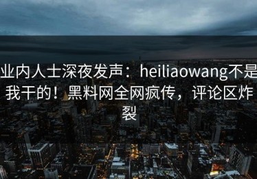业内人士深夜发声：heiliaowang不是我干的！黑料网全网疯传，评论区炸裂
