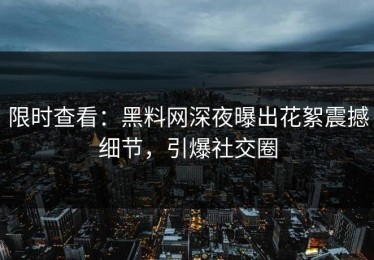 限时查看：黑料网深夜曝出花絮震撼细节，引爆社交圈