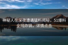 神秘人在深夜遭遇猛料揭秘，51爆料全网炸锅，详情点击