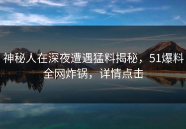 神秘人在深夜遭遇猛料揭秘，51爆料全网炸锅，详情点击