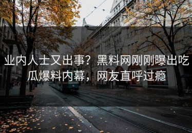业内人士又出事？黑料网刚刚曝出吃瓜爆料内幕，网友直呼过瘾