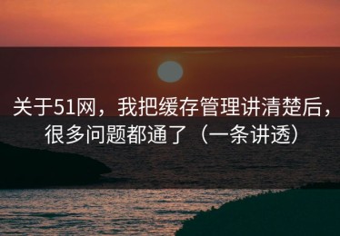 关于51网，我把缓存管理讲清楚后，很多问题都通了（一条讲透）
