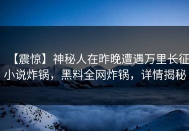 【震惊】神秘人在昨晚遭遇万里长征小说炸锅，黑料全网炸锅，详情揭秘