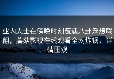 业内人士在傍晚时刻遭遇八卦浮想联翩，蘑菇影视在线观看全网炸锅，详情围观