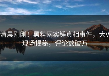 清晨刚刚！黑料网实锤真相事件，大V现场揭秘，评论数破万