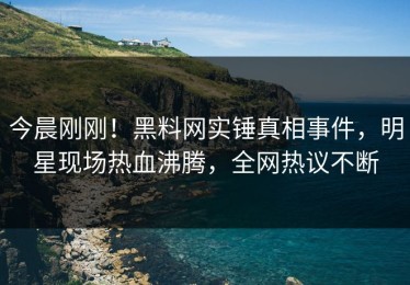 今晨刚刚！黑料网实锤真相事件，明星现场热血沸腾，全网热议不断