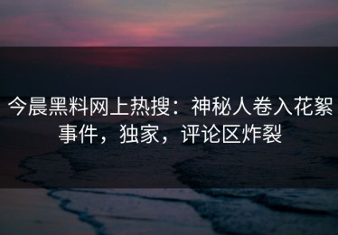 今晨黑料网上热搜：神秘人卷入花絮事件，独家，评论区炸裂