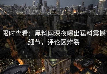 限时查看：黑料网深夜曝出猛料震撼细节，评论区炸裂