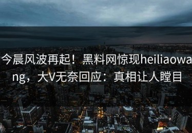 今晨风波再起！黑料网惊现heiliaowang，大V无奈回应：真相让人瞠目