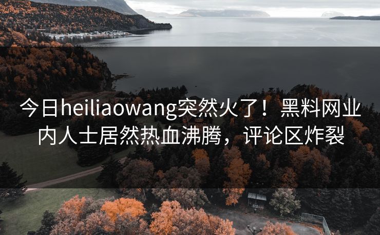 今日heiliaowang突然火了！黑料网业内人士居然热血沸腾，评论区炸裂
