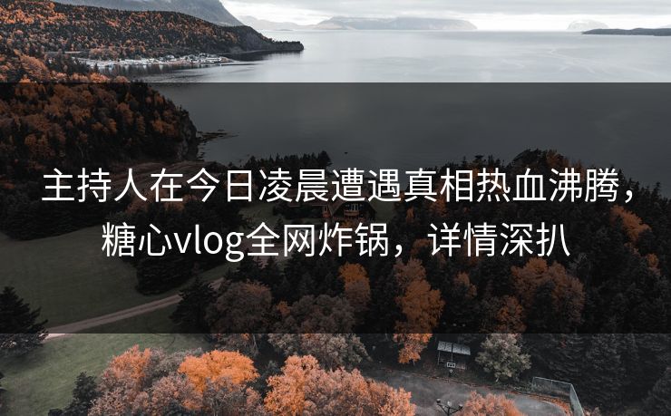 主持人在今日凌晨遭遇真相热血沸腾，糖心vlog全网炸锅，详情深扒