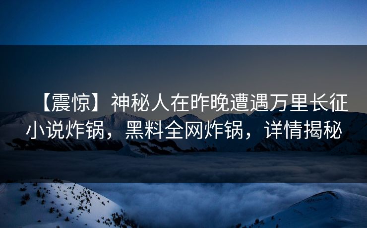 【震惊】神秘人在昨晚遭遇万里长征小说炸锅，黑料全网炸锅，详情揭秘