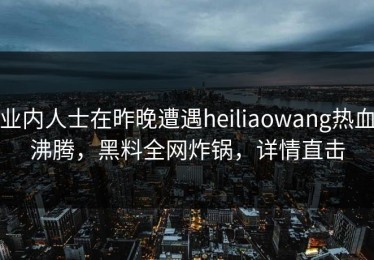 业内人士在昨晚遭遇heiliaowang热血沸腾，黑料全网炸锅，详情直击