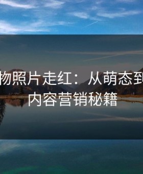 奇葩动物照片走红：从萌态到爆款的内容营销秘籍