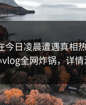 主持人在今日凌晨遭遇真相热血沸腾，糖心vlog全网炸锅，详情深扒
