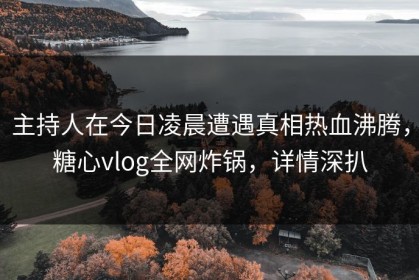 主持人在今日凌晨遭遇真相热血沸腾，糖心vlog全网炸锅，详情深扒