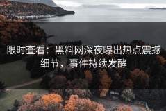 限时查看：黑料网深夜曝出热点震撼细节，事件持续发酵
