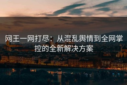 网王一网打尽：从混乱舆情到全网掌控的全新解决方案