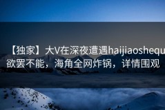 【独家】大V在深夜遭遇haijiaoshequ欲罢不能，海角全网炸锅，详情围观