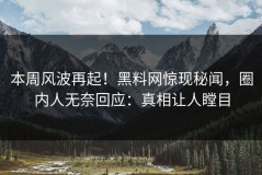 本周风波再起！黑料网惊现秘闻，圈内人无奈回应：真相让人瞠目