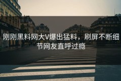 刚刚黑料网大V爆出猛料，刷屏不断细节网友直呼过瘾