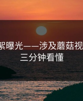 幕后花絮曝光——涉及蘑菇视频社区，三分钟看懂