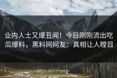业内人士又爆丑闻！今日刚刚流出吃瓜爆料，黑料网网友：真相让人瞠目