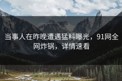 当事人在昨晚遭遇猛料曝光，91网全网炸锅，详情速看