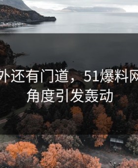 热闹之外还有门道，51爆料网的冷门角度引发轰动