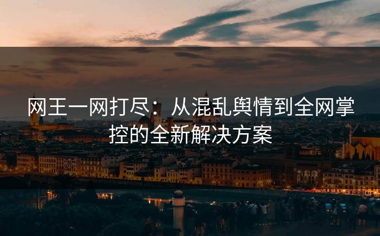 网王一网打尽：从混乱舆情到全网掌控的全新解决方案