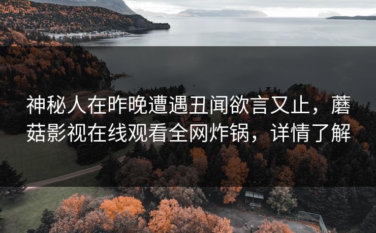 神秘人在昨晚遭遇丑闻欲言又止，蘑菇影视在线观看全网炸锅，详情了解