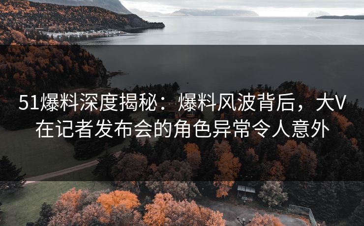 51爆料深度揭秘：爆料风波背后，大V在记者发布会的角色异常令人意外
